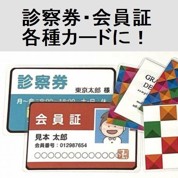 ラミネーター カードサイズ専用 LPC1010 小型機 パウチ 診察券