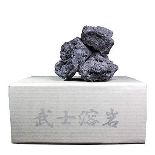 値引 武士溶岩 国産中型溶岩石 M 8 cm 8kg 黒系 45cm水槽レイアウト用品 海外最新 Turningheadskennel Com