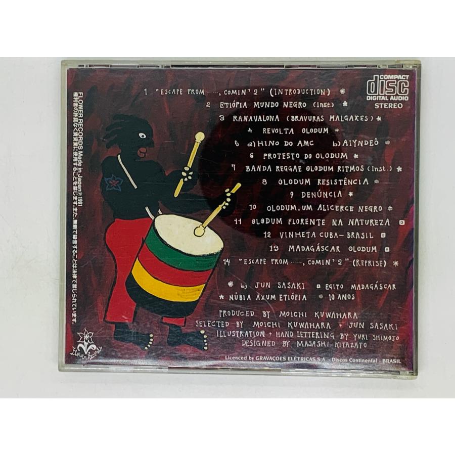 即決CD OLODUM FLORENTE NA NATUREZA オロドゥン ブラジル音楽