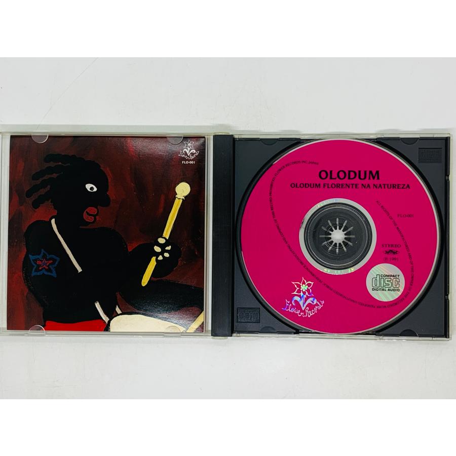 即決CD OLODUM FLORENTE NA NATUREZA オロドゥン ブラジル音楽