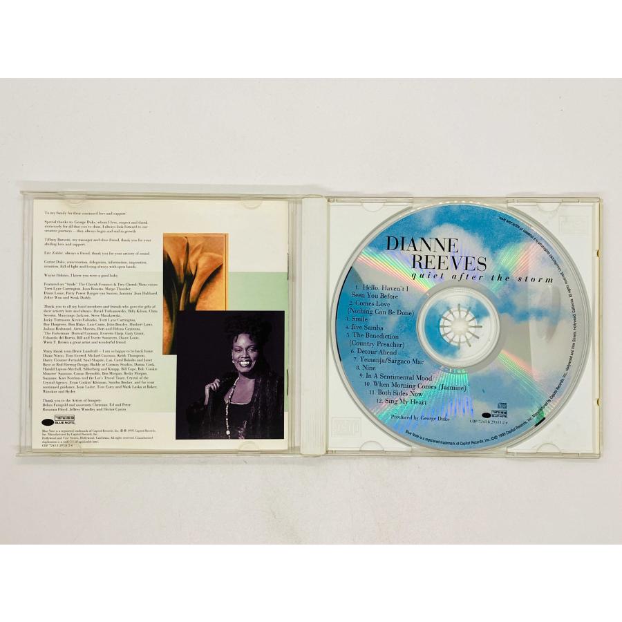 ダイアンリーブス　非売品　quiet after the slorm ダイアンリーブス 非売品 quiet after the slorm ダイアン