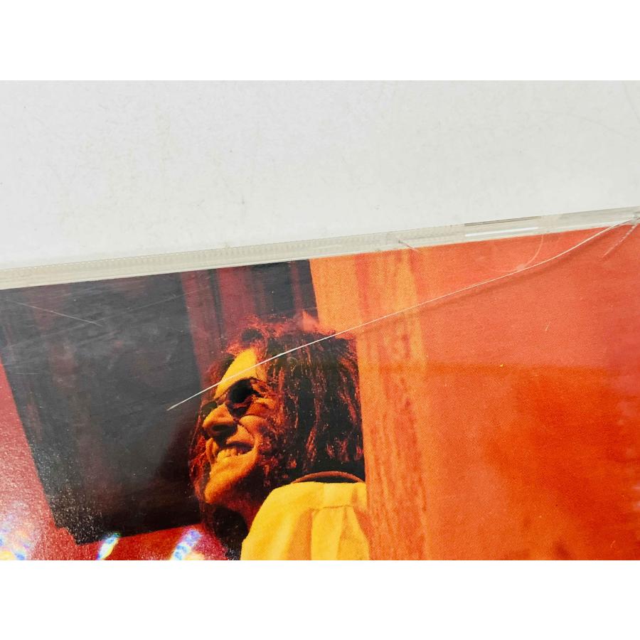 即決CD デヴィッド・シルヴィアン ロバート・フリップ / DAVID SYLVIAN