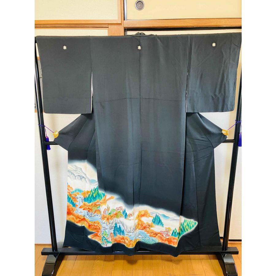 着物 黒留袖 正絹 / 黒色系 ブラック系 五つ紋 山 風景 身丈約150cm 裄