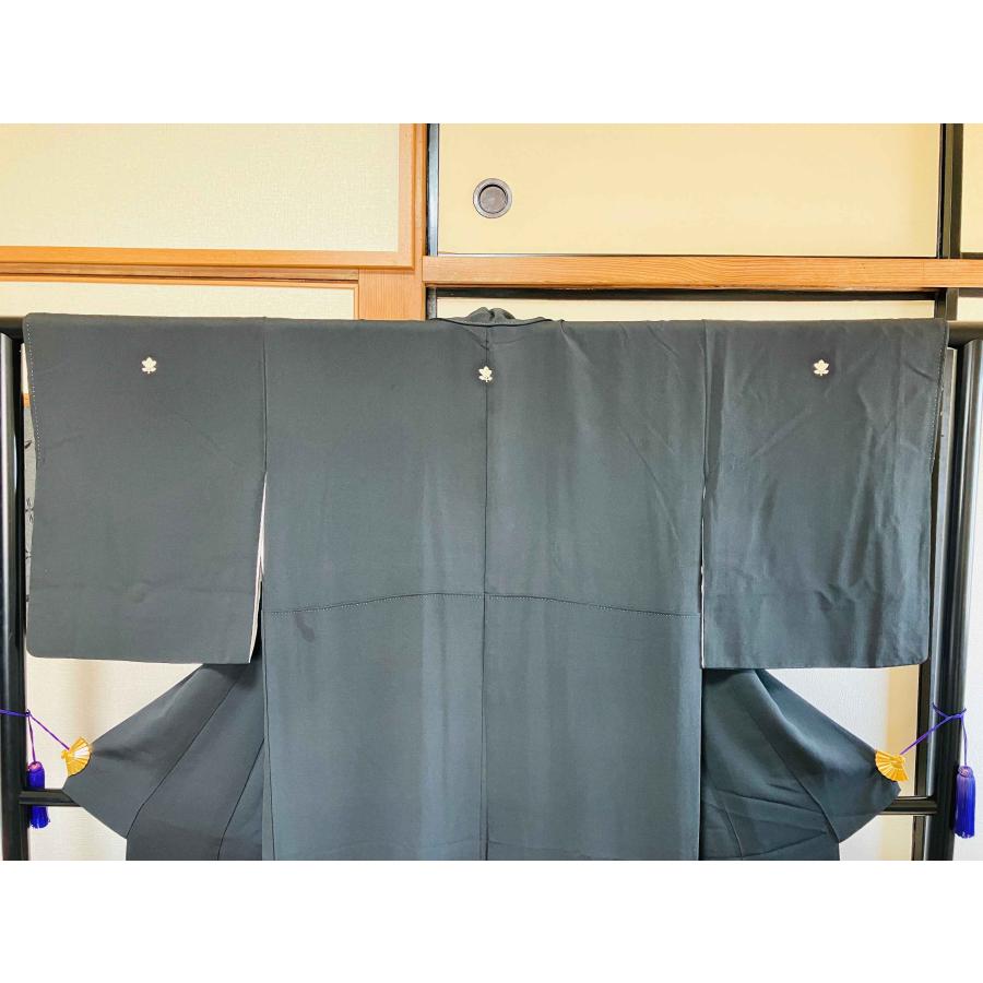 着物 黒留袖 正絹 / 黒色系 ブラック系 五つ紋 山 風景 身丈約150cm 裄