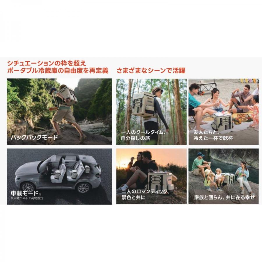 イチネンアクセス Litheli バックパック型 ポータブル冷蔵庫 FrozenPack 16L -20℃〜20℃設定 バッテリー付属 アウトドア 車載 キャンプ用の画像