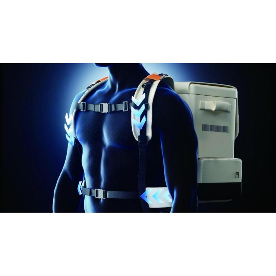 イチネンアクセス Litheli バックパック型 ポータブル冷蔵庫 FrozenPack 16L -20℃〜20℃設定 バッテリー付属 アウトドア 車載 キャンプ用の画像