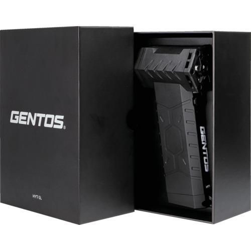 GENTOS(ジェントス) 小型ブロワー 疾風 HYT-SL USB充電式 最大風速60m