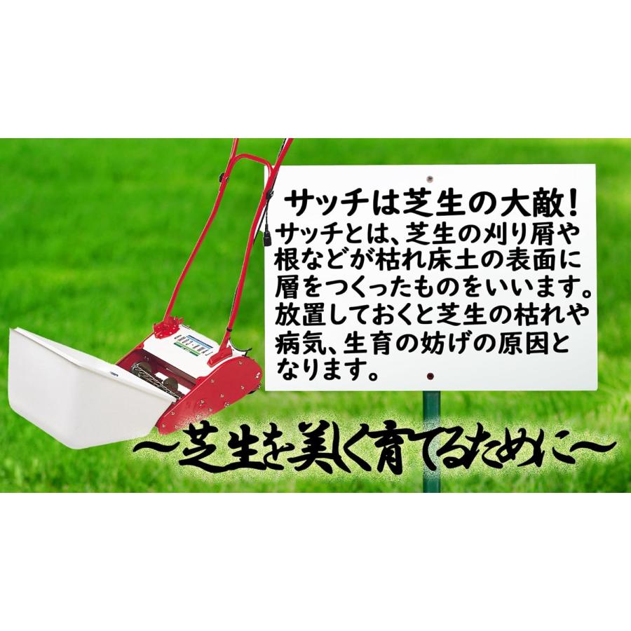 ゴールデンスター(キンボシ) LCA-260RW 電動ローンコーム : Total