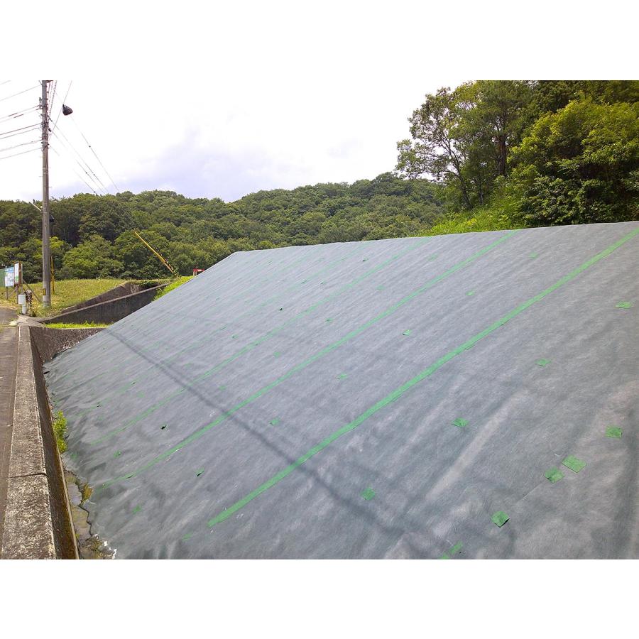 防草シート 藤原産業 セフティー3 高密度長繊維不織布防草シート 1X50M 耐用約5年