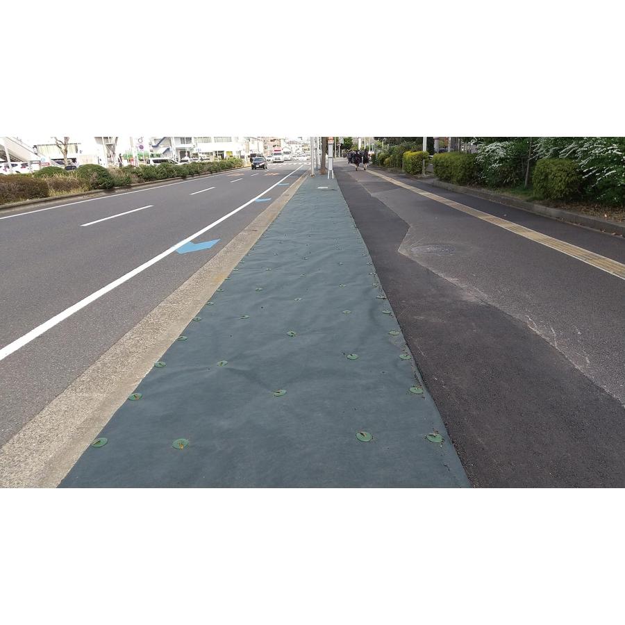 藤原産業 セフティー3 高密度長繊維不織布防草シート 1X50M 耐用約5年