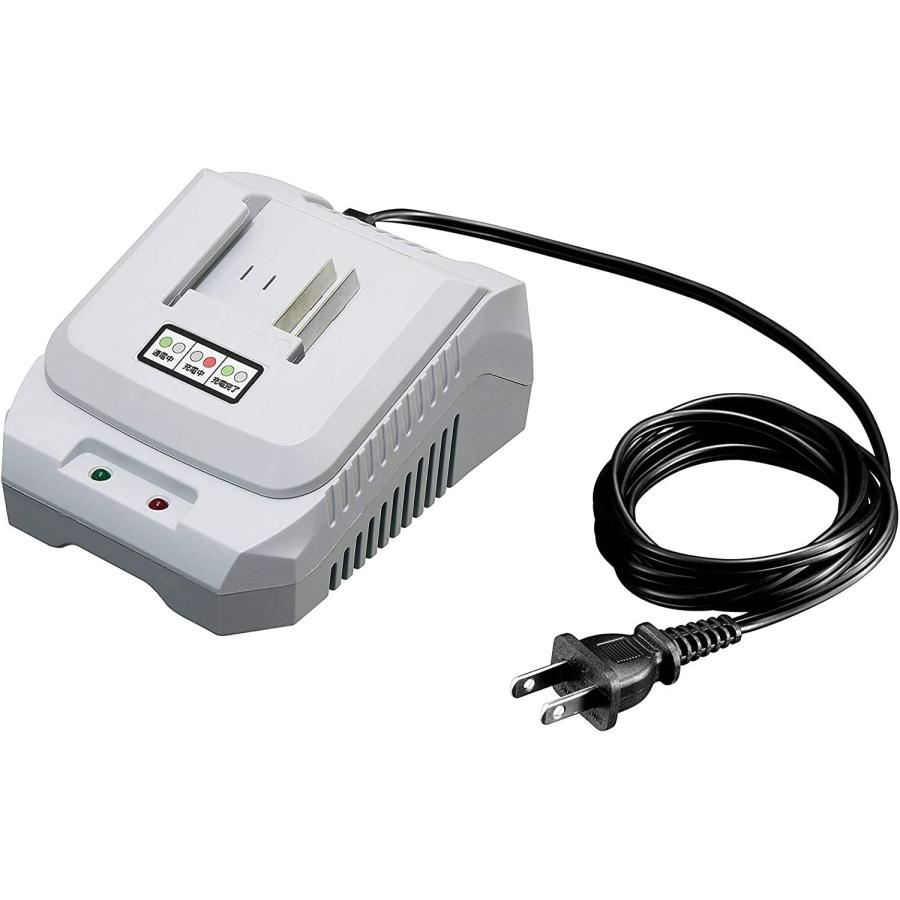 高儀（TAKAGI） EARTH MAN 充電式電気のこぎり S-Link 14.4V DN-144LiA