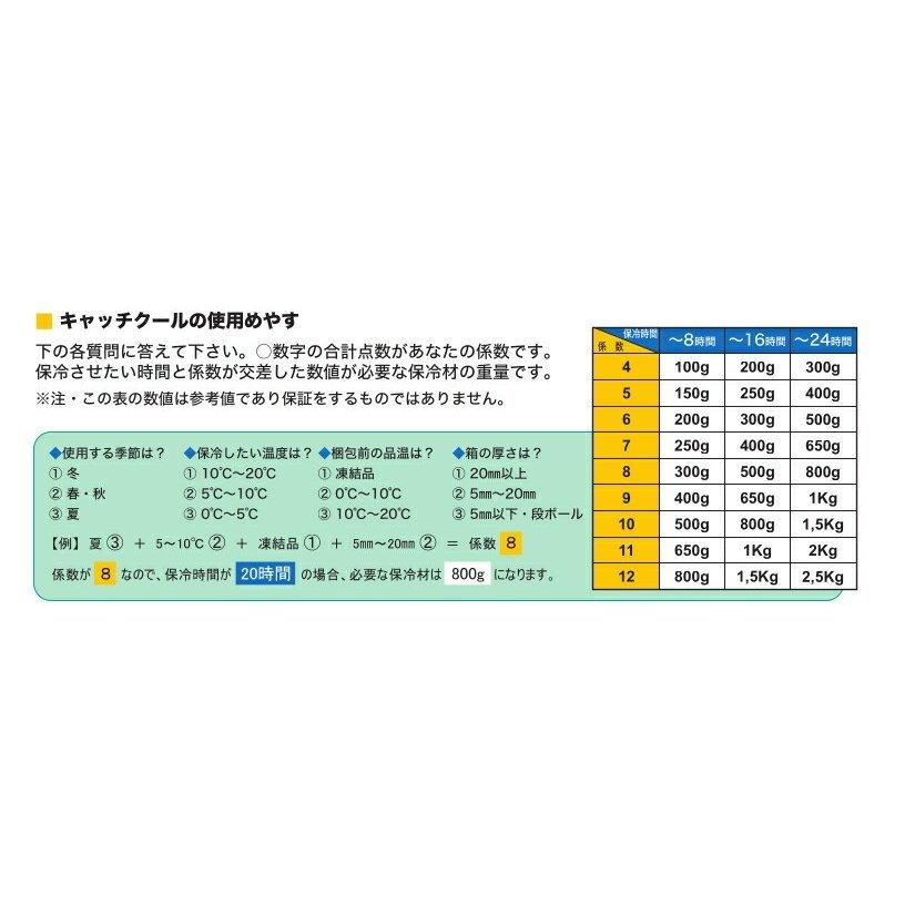 キャッチクール 700g 20個入×1ケース 保冷剤 法人 大量 まとめ買い