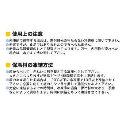 キャッチクール 700g 20個入×1ケース 保冷剤 法人 大量 まとめ買い