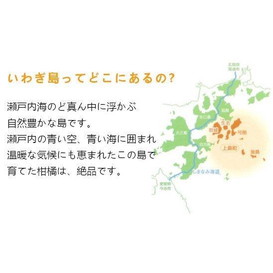 みかんジュース 瓶 はれひめジュース 500ml × 1本 オレンジジュース はれひめ 愛媛 無添加 瓶 蜜柑 柑橘 ジュース ストレート 果汁100% (IWG)｜totallife｜04