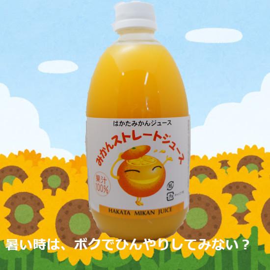 みかんジュース 500ml×12本入　伯方果汁 ギフト プレゼント 母の日 父の日 御中元 御歳暮 お祝｜totallife｜06