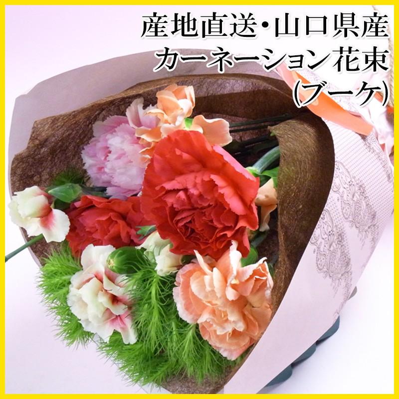 産地直送 数々の賞を受賞した山口県産カーネーシ ョン花束★カーネーション・ブーケ（約8本、高さ20cm） | 