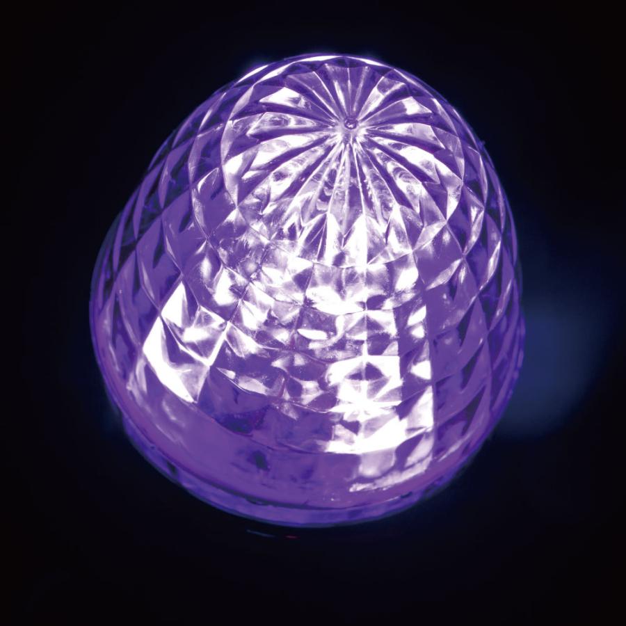 LEDスターライトバスマーカーランプ 零(ゼロ) カラーレンズタイプ 紫