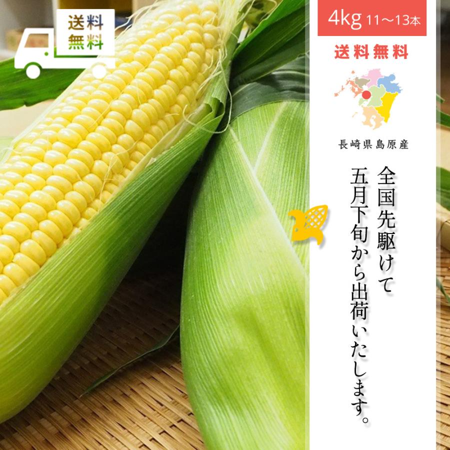 5月下旬発送予定 朝採れスイートコーン ゴールドラッシュ 1箱4kg 11 13本 長崎県産とうもろこし 送料無料