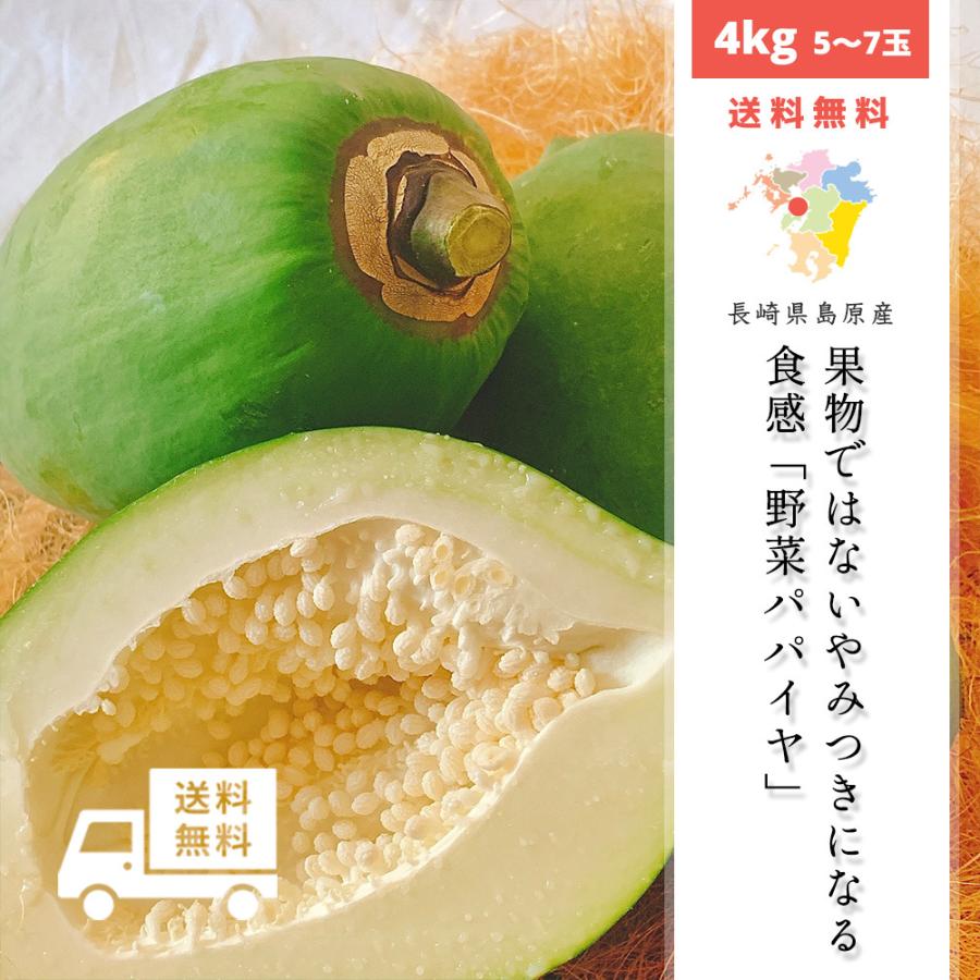 青パパイヤ 4kg 5 7玉 長崎県産 無農薬栽培 アンチエイジング パパイン酵素 島原半島産 送料無料 02 05 009 003 しまばら野菜のトトノウ 通販 Yahoo ショッピング