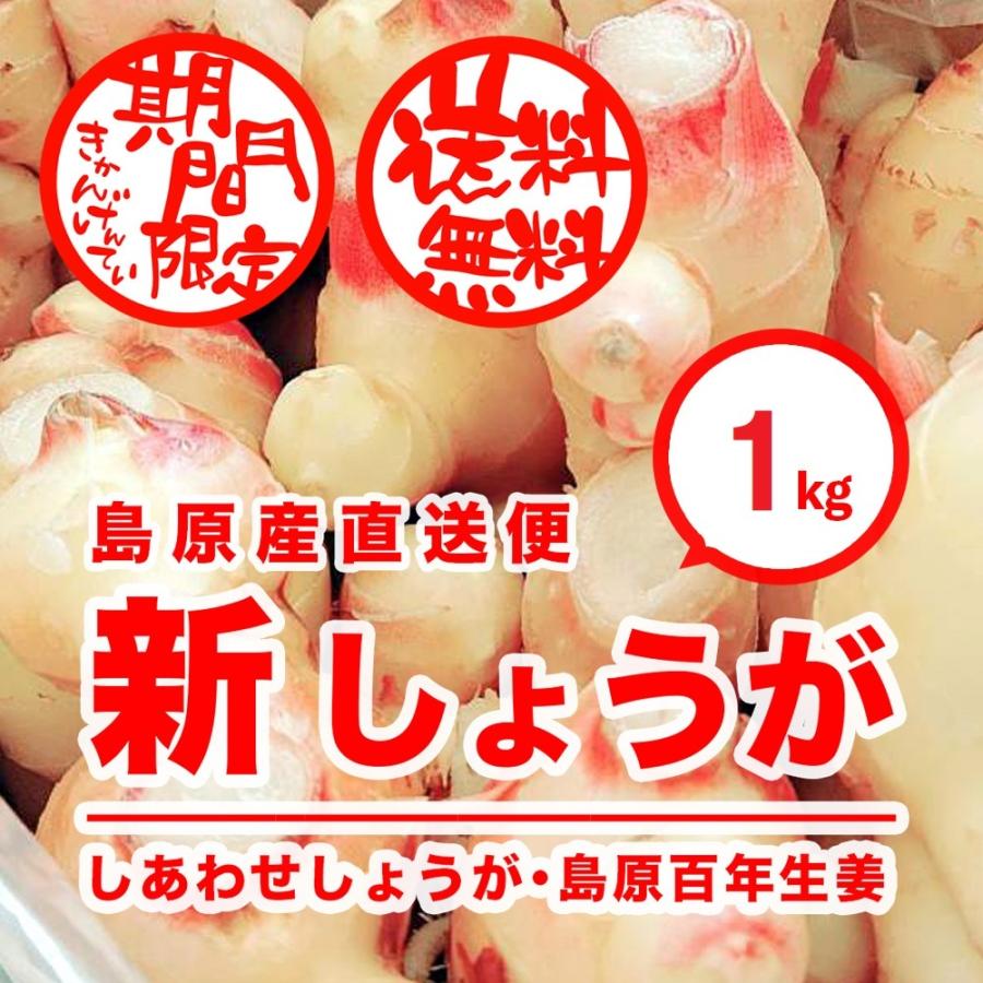 新生姜 ［1kg］ 長崎県産 島原 直送 / 松本農園の新しょうが お試し