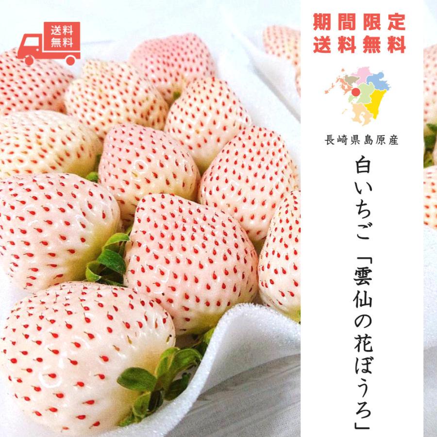 白いちご 「雲仙の花ぼうろ」 [2パックx約250g] 島原半島産 長崎 送料
