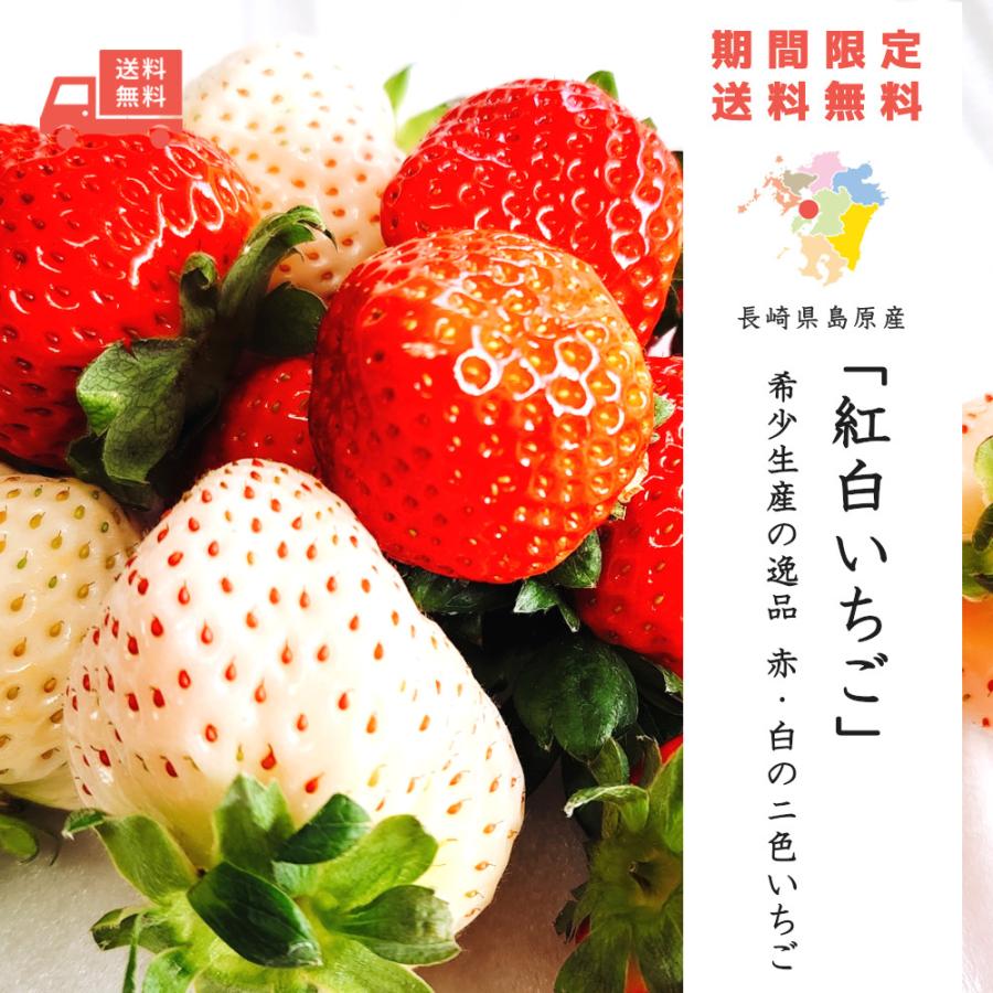 紅白いちごセット「恋みのり」と「雲仙の花ぼうろ」［250g x 2パック 