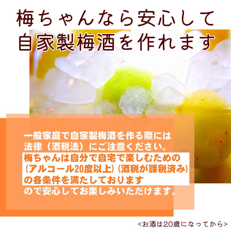 梅津酒造 梅ちゃん 1800ml 梅酒用 果実酒用 清酒 日本酒 オリジナル