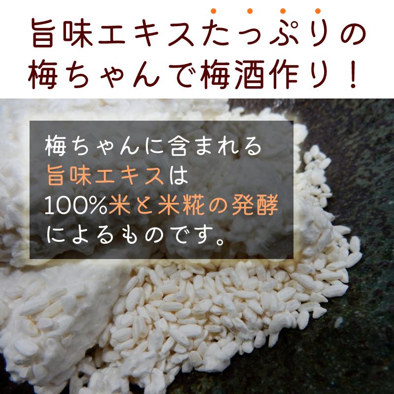 梅酒用 日本酒 一升瓶 梅ちゃん 1800ml 20度 梅津酒造 果実酒用 美味しい 梅酒の作り方 自家製 diy 保存 容器 日本酒で作る 高級 梅酒 有名 梅 実 鳥取｜tottori-gottuou｜03