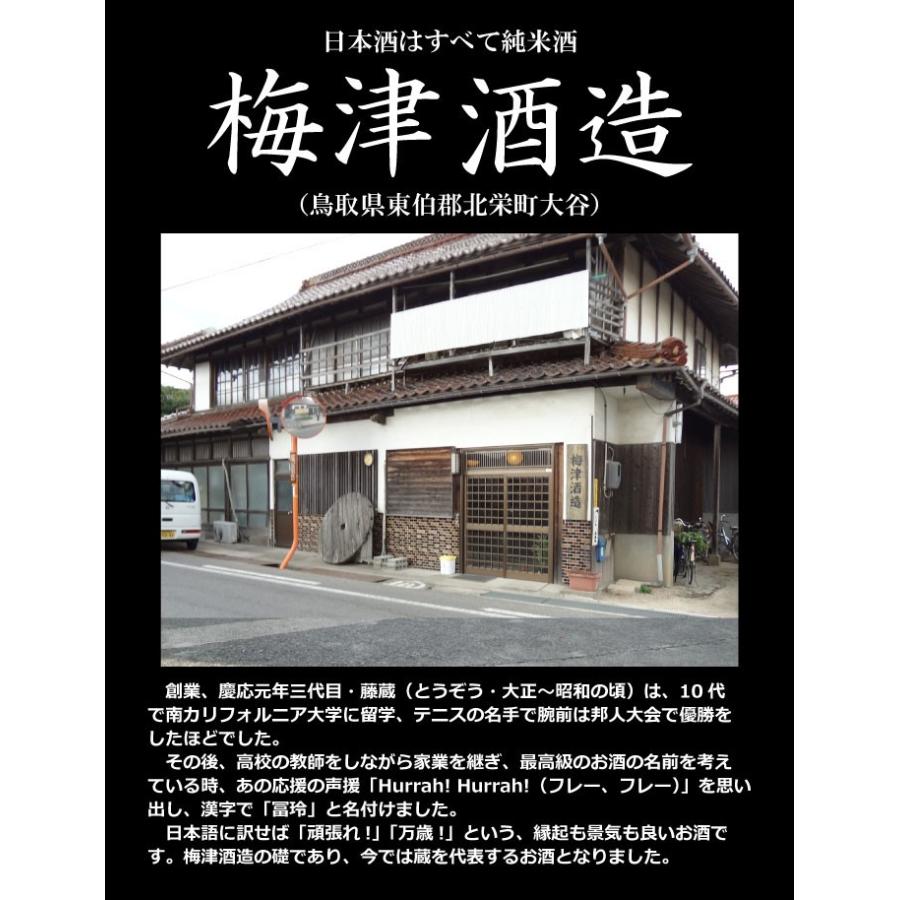 ギフト 梅酒 野花 （のきょう） 500ml 梅津酒造 （鳥取県の梅酒