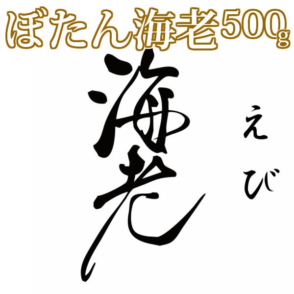 天然ぼたん海老　500g | 