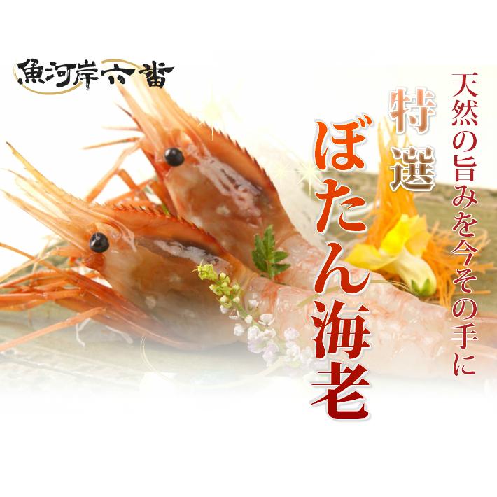 【送料無料】天然ぼたん海老１ｋｇ |  | 01