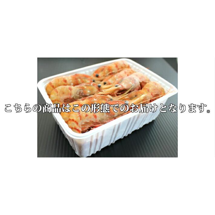 天然ぼたん海老　500g |  | 08