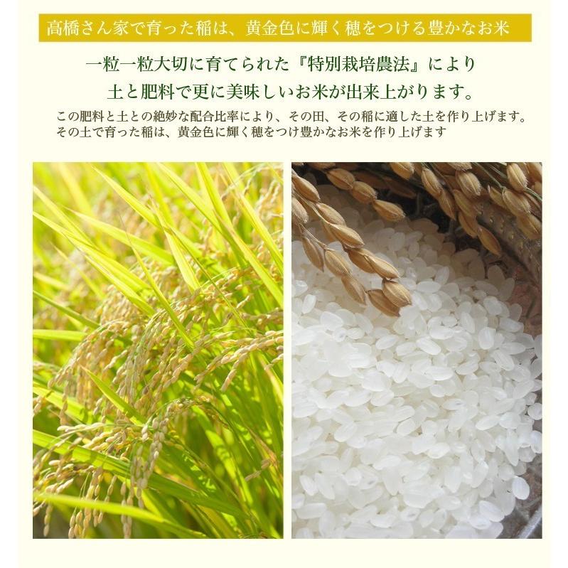 ミルキークイーン 新米 令和6年 内祝 自然栽培米 無農薬 米 2kg