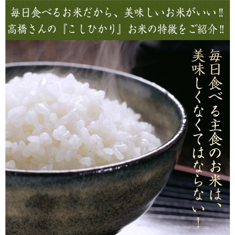 新米 令和7年 自然栽培米 無農薬 米 送料無 10kg 高級 お歳暮 ギフト 