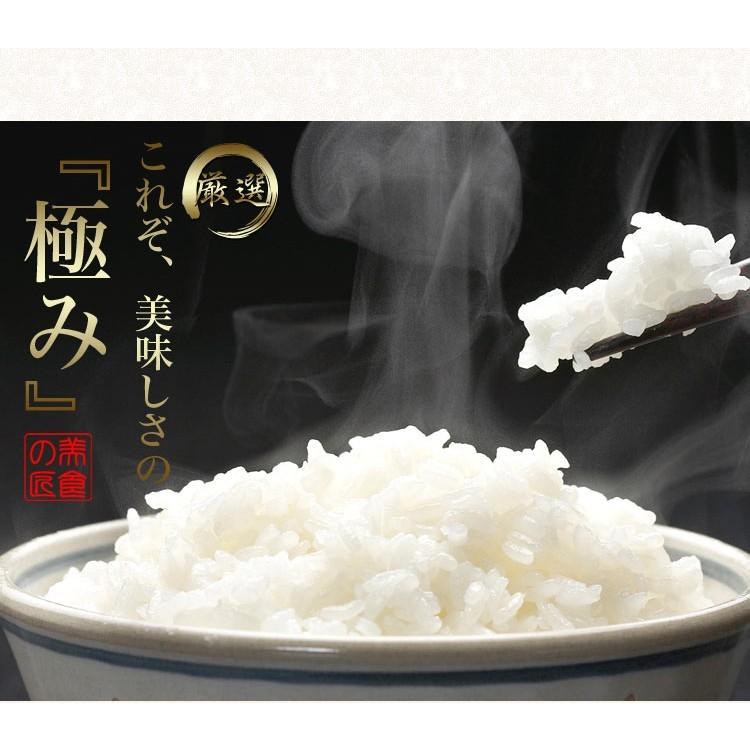 新米 令和7年 自然栽培米 無農薬 米 送料無 10kg 高級 お歳暮 ギフト