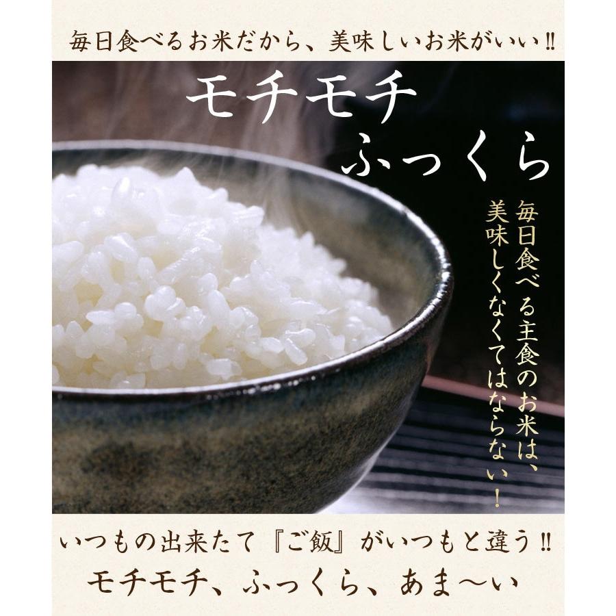 令和7年産 無農薬新米コシヒカリ おすそ分け 【公式通販】