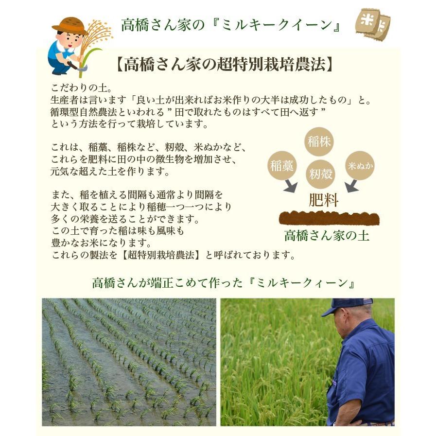 ミルキークイーン 新米 令和7年 自然栽培米 無農薬 新米 米5kg お歳暮