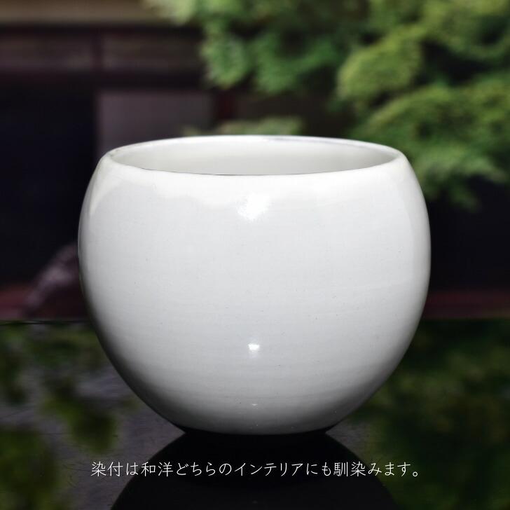 陶あん 清水焼 京焼 色絵付け 銀彩 向日葵 中皿 お皿 【公式通販】
