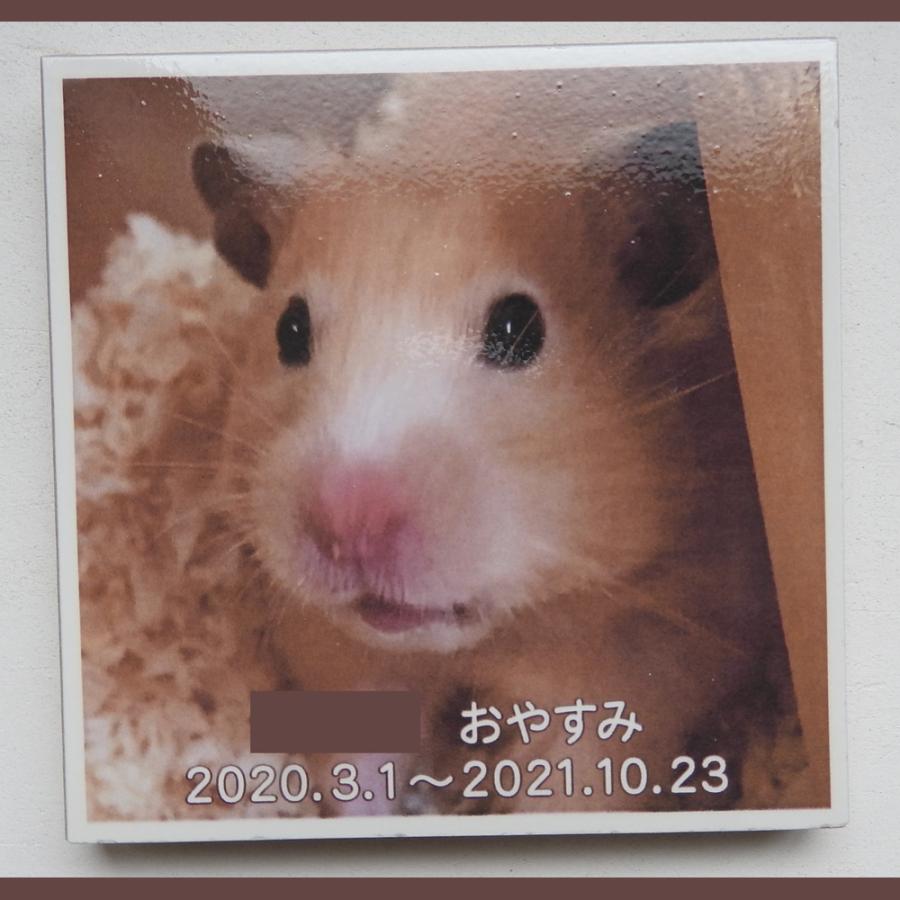 ハイナーグリム 「ゲルトゼーラー」フォトセラミック写真陶板　額付き ハイナーグリム 「ゲルトゼーラー」フォトセラミック写真陶板 額付き