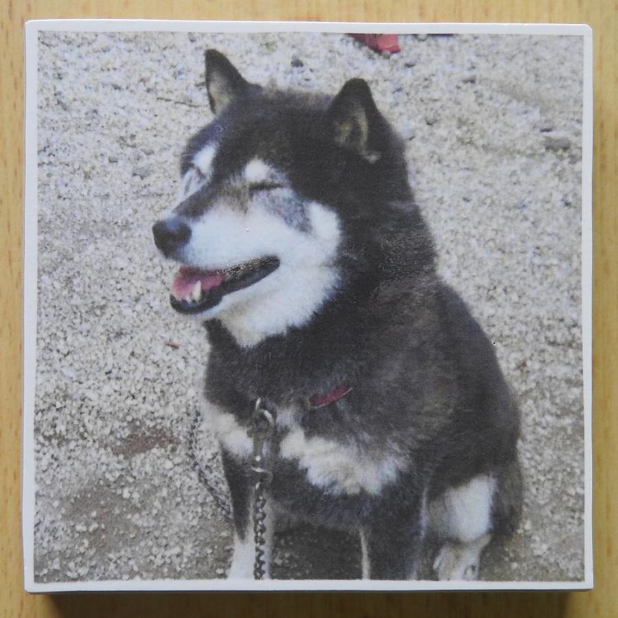 陶板 「フルベッキ群像写真」 冊子付き 陶板 「フルベッキ群像写真」 冊子付き 有田焼 金龍窯 - メルカリ