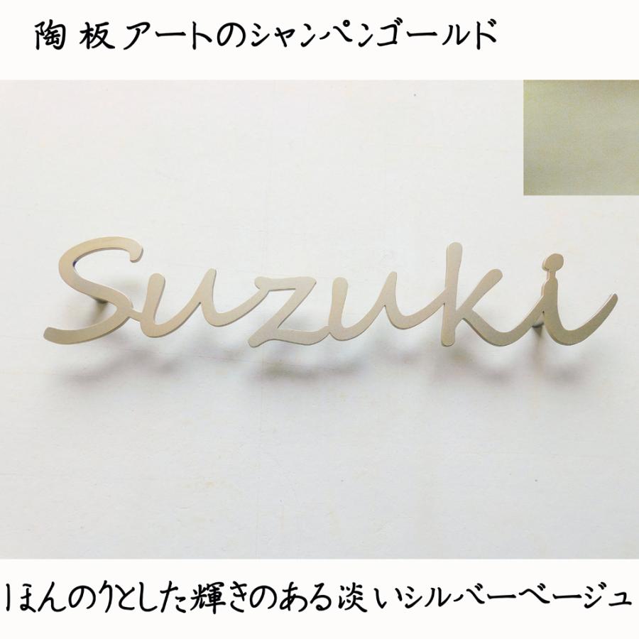 表札 ステンレス 戸建 おしゃれ  アイアン（切り文字表札 sus11英字数字2段 縦50mm横300mm）名前と住所を一体化しスマートに表示 レーザーカット  サイズ変更可 |  | 18