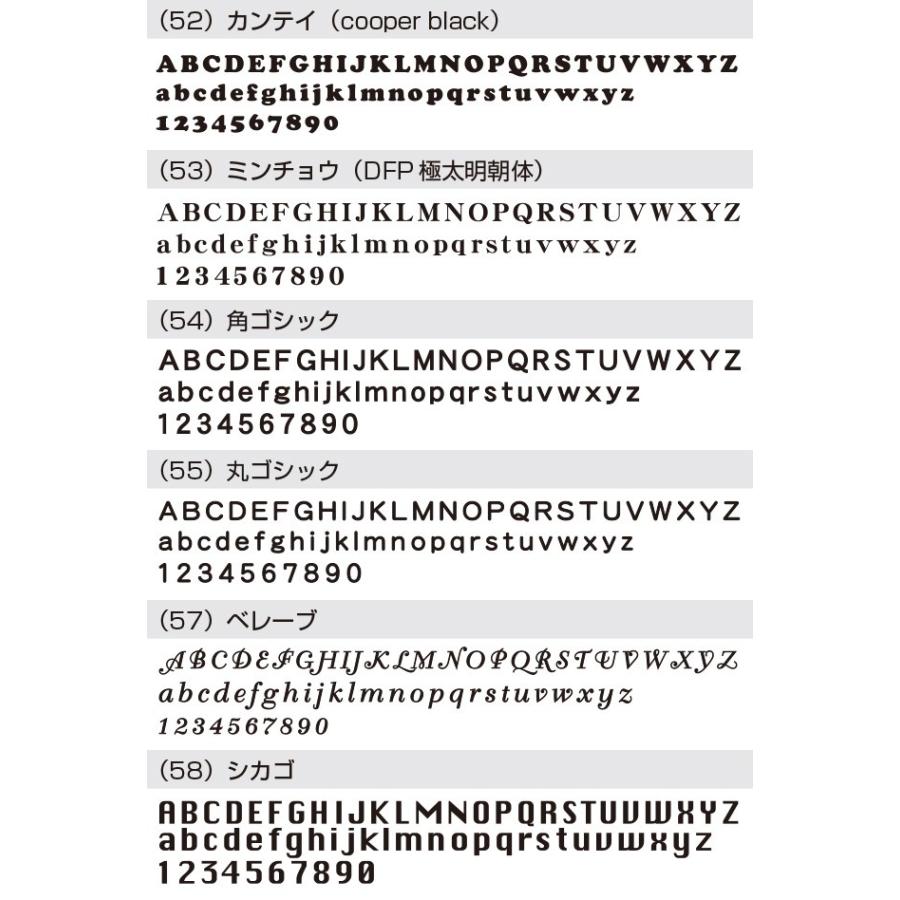 表札 ステンレス 戸建 おしゃれ  アイアン（切り文字表札 sus11英字数字2段 縦50mm横300mm）名前と住所を一体化しスマートに表示 レーザーカット  サイズ変更可 |  | 10