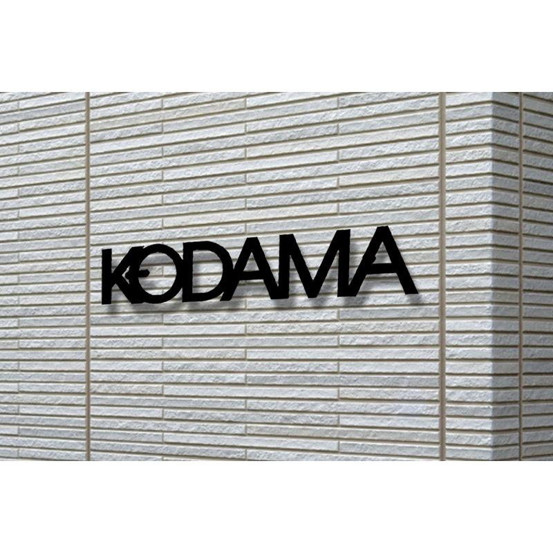 表札 ステンレス 戸建 おしゃれ  アイアン（sus切り文字表札 sus2アバンギャルド 縦60mm横300mm ）スタイリッシュ モダン シャープ アルファベット サイズ変更可 |  | 02