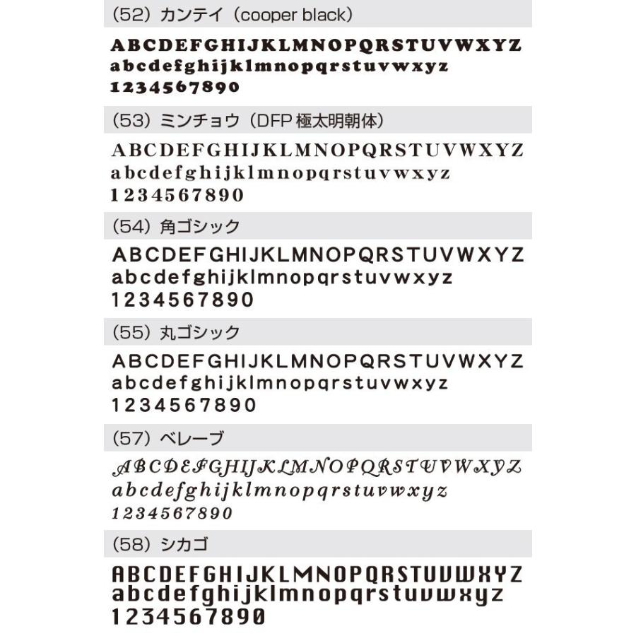 表札 ステンレス 戸建 おしゃれ  アイアン（sus切り文字表札 sus3ハリントン 縦55mm横300mm） 矢印 アンダーバー アルファベット サイズ変更可 2色 シンプル |  | 10