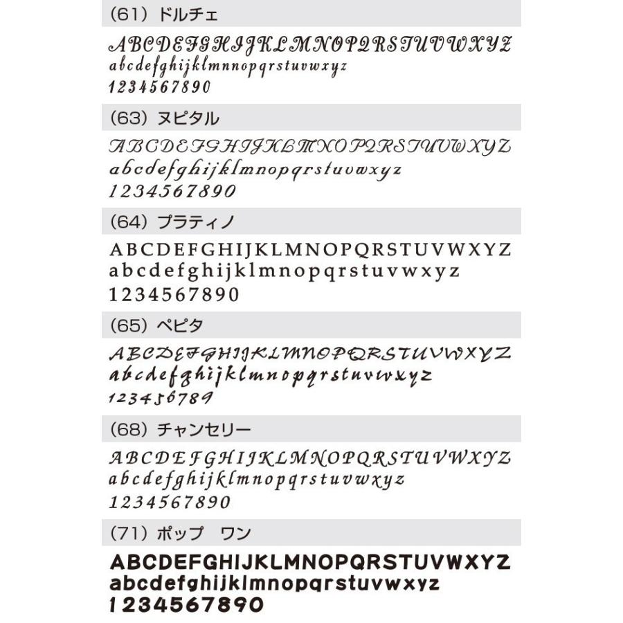 表札 ステンレス 戸建 おしゃれ  アイアン（sus切り文字表札 sus3ハリントン 縦55mm横300mm） 矢印 アンダーバー アルファベット サイズ変更可 2色 シンプル |  | 11