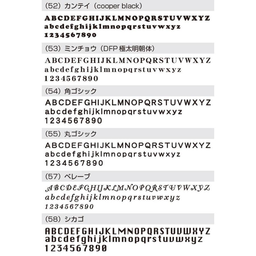 表札 ステンレス 戸建 おしゃれ  アイアン （sus切り文字表札 sus4シカゴ 縦50横300mm）アンダーバー　サイズ変更可 シンプル　2色 アイアン風 アルファベット |  | 10