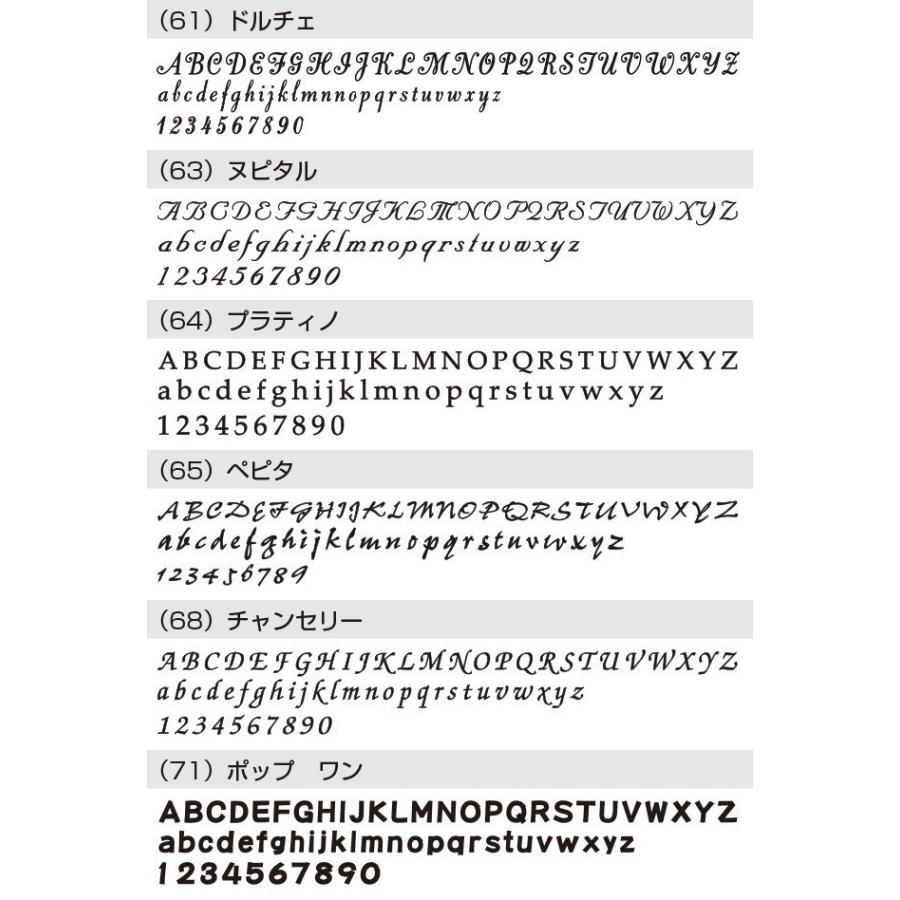 表札 ステンレス 戸建 おしゃれ  アイアン （sus切り文字表札 sus4シカゴ 縦50横300mm）アンダーバー　サイズ変更可 シンプル　2色 アイアン風 アルファベット |  | 11