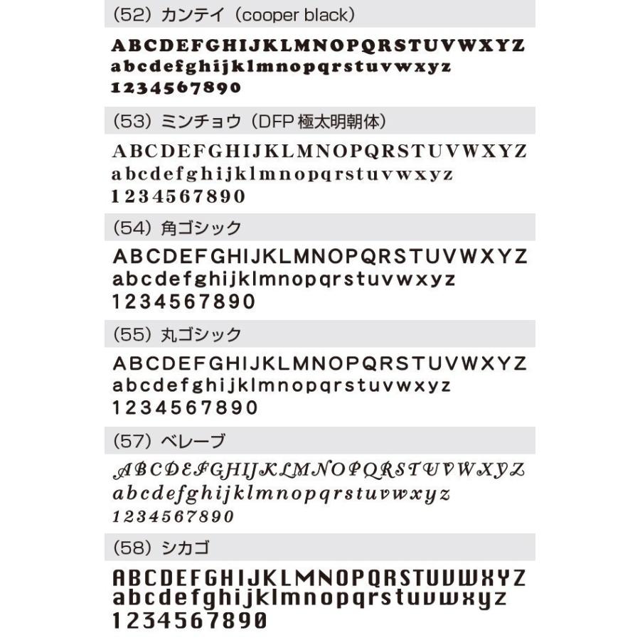 表札 ステンレス 戸建 おしゃれ  アイアン（sus切り文字表札 sus7エドワード 縦78mm横300mm ） 流麗な筆記体が特長　書体25種 サイズ変更可 アイアン風 |  | 10