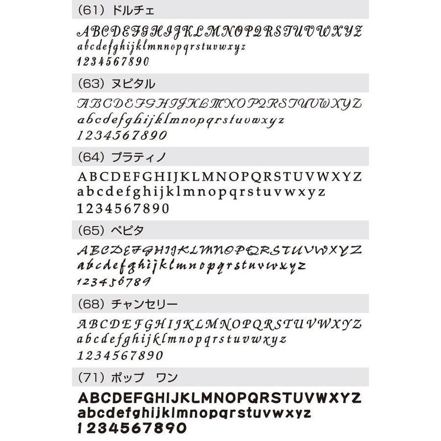 表札 ステンレス 戸建 おしゃれ  アイアン （sus切り文字表札 sus8 行書とプラティノ 縦60mm横300mm ）漢字と英字アルファベットの２書体併記 サイズ変更可 |  | 13