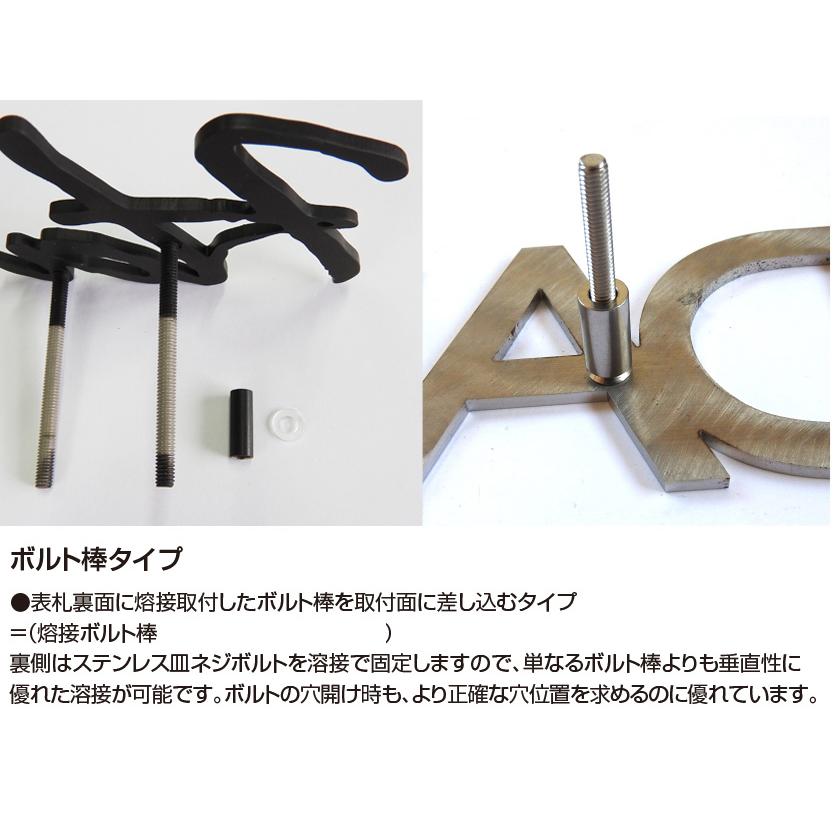 表札 ステンレス 戸建 おしゃれ  アイアン （sus切り文字表札 sus8 行書とプラティノ 縦60mm横300mm ）漢字と英字アルファベットの２書体併記 サイズ変更可 |  | 10